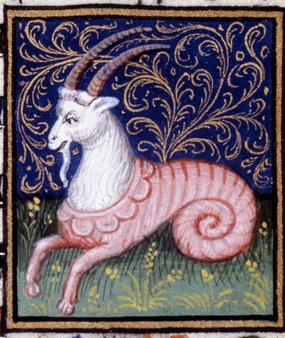 The Capricorn. Miniature of a horoscope. 15th century manuscript. Bibl. Trivulziana, Milan. by Unknown artist