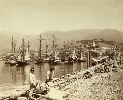 The Erection of a Pier in Yalta by Unknown artist