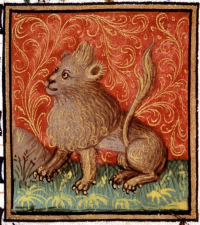 The Lion. Miniature of a horoscope. 15th century manuscript. Bibl. Trivulziana, Milan. by Unknown artist