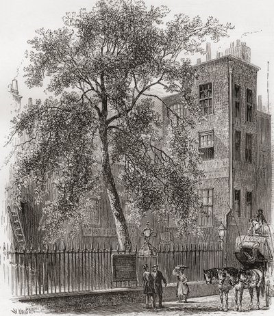 The Plane Tree, Wood Street, Cheapside, London, England in the 19th century by Unknown artist