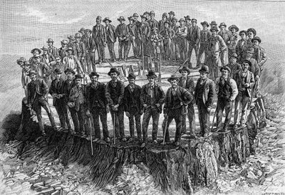 The Base of the Sequoia Gigantea Intended for the American Museum of Natural History in New York by Unknown artist