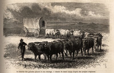 The big plains steer and its hitch. Engraving to illustrate the voyage to the far west American, by M. L. Simonin, in 1867, published in 