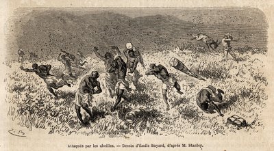 The caravan of carriers of Henry Morton Stanley