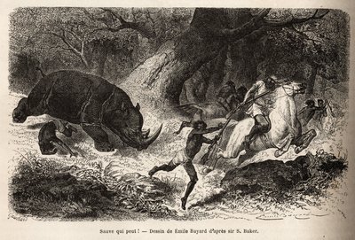 The Charge of the Rhinoceros by Unknown artist