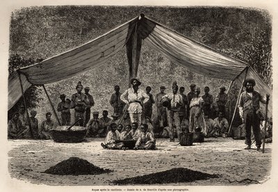 The Common Meal of the Workers After the Collection of Coffee Beans, Which Dry on the Ground in the Foreground; in the Center of the Image, the Owner of the Plantation. Engraving to Illustrate the Voyage to Brazil, Story by M. by Unknown artist