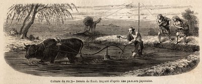 The Cultivation of Rice: First Stage by Unknown artist