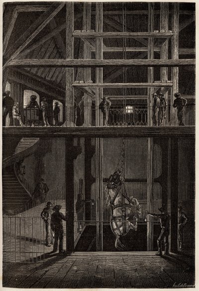 The descent of a horse in the Creusot mines, used in underground tunnels for the transport of coal carts. Engraving to illustrate a voyage to the Creusot and the mines of Saone and Loire, in 1865, by L. Simonin, in 