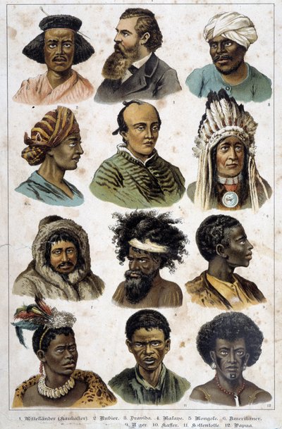 The different human races - in "Natural histories of mammals", ed. Schreiber by Unknown artist