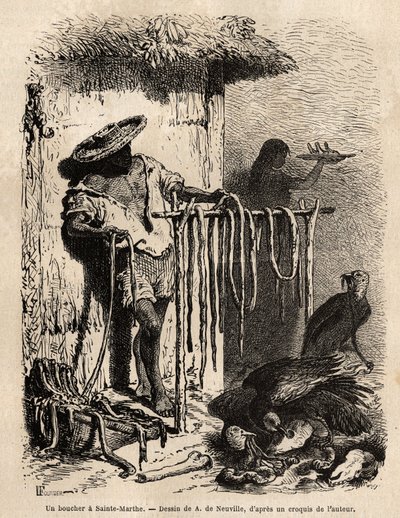 The stall of a butcher in the suburbs of Sainte Martha (Santa Marta, Colombia) by Unknown artist