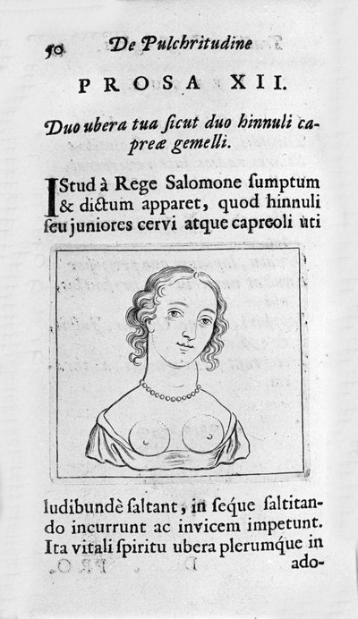The feminine chest. Page taken from 