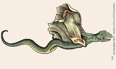The flying dragon Amphiptere. Engraving in Historia Animalium by Conrad Gesner (1516-1565), Zurich by Unknown artist