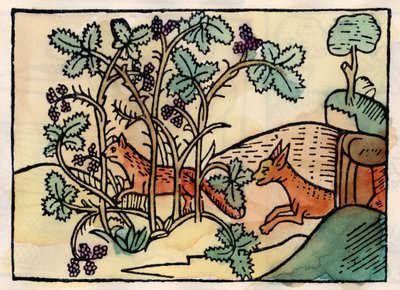 The Fox and the Grapes by Unknown artist