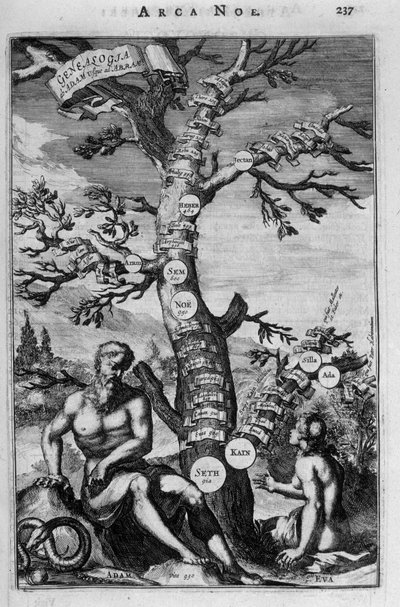 The Genealogical Tree from Adam to Abraham - Bible by Unknown artist