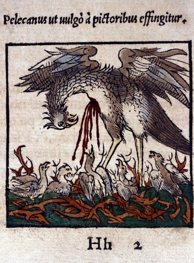 The legend of the pelican: he gives his blood and bowels to feed his young. From Historiae animalium by Konrad Gesner by Unknown artist