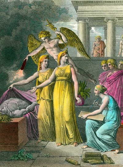 The medicine led by the study has new anatomical observations by Unknown artist