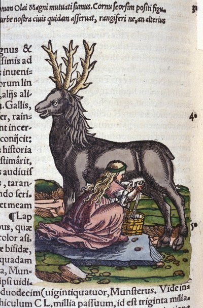 The reindeer trade after Historiae animalium by Konrad Gesner by Unknown artist