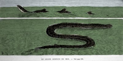 The sea snake observed in 1872 in the Meridional Atlantic. by Unknown artist