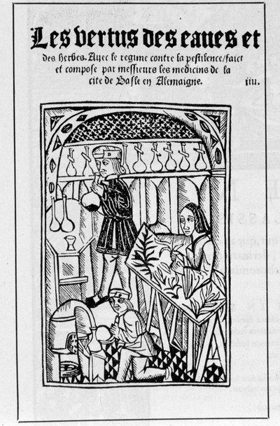 The Shop of an Apothecary in the 16th Century by Unknown artist