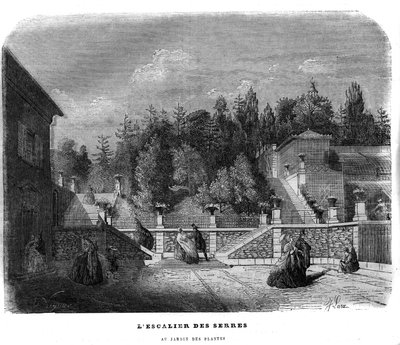 The Staircase of Greenhouses in the Garden of Plants in Paris, 1858 by Unknown artist