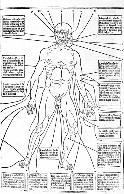 This picture shows the places of the body or practice bleeding depending on the pain. Treatise of Medicine by Gerolamo Cardano, Florence by Unknown artist