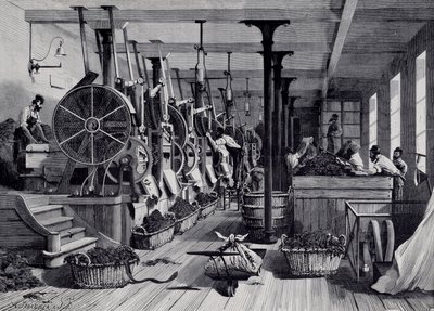 Tobacco factory, laundry room and tobacco rapage. Engraving around 1867. by Unknown artist