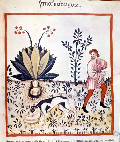 Treatise of medicine 