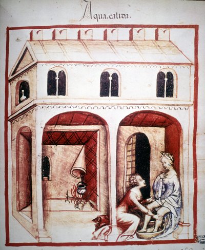 Treatise of Medicine 