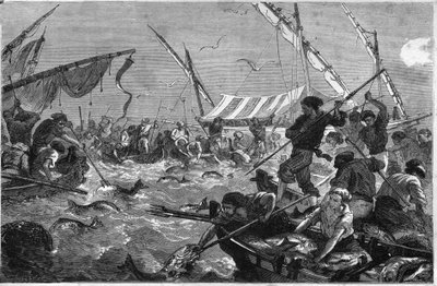 Tuna fishing on the coast of Provence. by Unknown artist