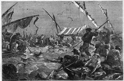 Tuna fishing with the trap on the Provence coast in France by Unknown artist