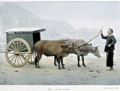 Vietnamese Hitch, “Around the World”, late 19th century by Unknown artist