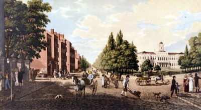 View of New York: Broadway and City Hall. Lithography Around the Middle of the 19th Century by Unknown artist