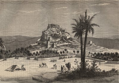 View of Oued el Golea in Algeria in the south of the province of Oran at the end of the 19th century (engraving) by Unknown artist
