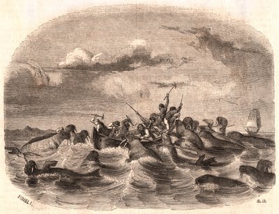View of a group of English sailors chasing a herd of walrus in 1818 off the coast of Spitsbergen by Unknown