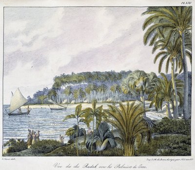 View of the Radak Islands of the Marshall Islands archipelago by Unknown artist