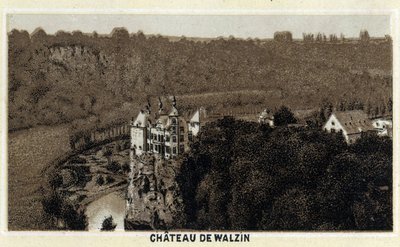 View of the Castle of Walzin in Wallonia (Belgium) on the banks of the River Lesse by Unknown artist