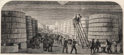 View of the Cellar at the Chateau - Lafitte in 1860 by Unknown artist