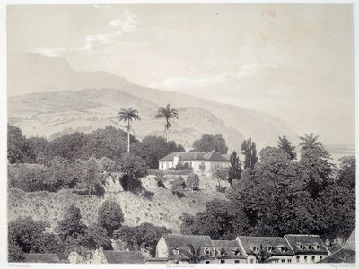 View of the Houses Taken from Boulevard de la Comedie in Saint Pierre in Martinique by Unknown artist
