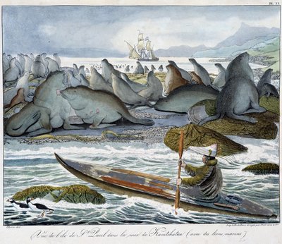 View of the island of St. Paul in the sea of Kamchatka with sea lions. by Unknown artist