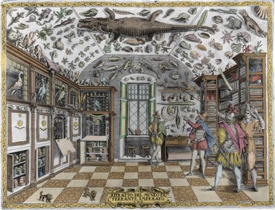 View of the museum (cabinet) of curiosities (encyclopedic museum) of the pharmacist Ferrante Imperato (1550 - 1631). Engraving from 1678. Museum of the Neapolitan apothecary Ferrante Imperato by Unknown artist