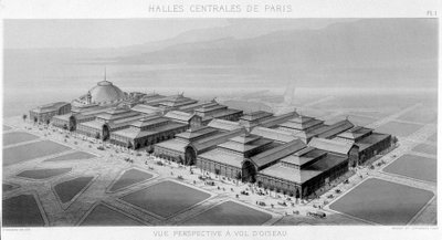 View of the sky of the central halls of Paris (Balard pavilions) - Monograph of the Central Halls of Paris, by V. Balard by Unknown artist