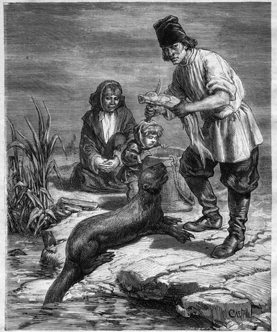 Voyage of Alphonse Louis Pinart in North America and Alaska - hunting and fishing in Alaska - engraving in 