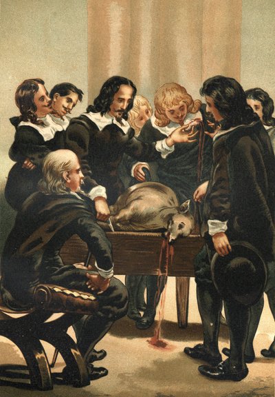 William Harvey (1578-1658) English physician demonstrating blood circulation in 1628 by Unknown artist
