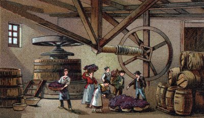 Wine production: wine press of the hospice of Beaune by Unknown artist