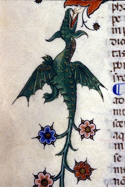 Winged dragon, Caspic, on a 14th century manuscript Milan, Biblioteca Nazionale Braidense by Unknown artist