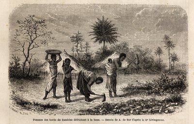 Women from the banks of the Zambeze defriching a hoe by Unknown artist