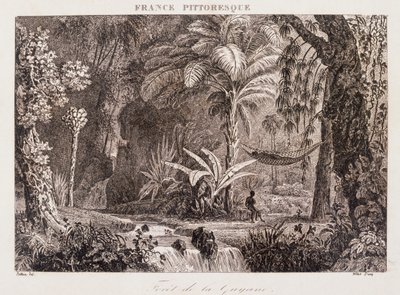 Engraving Depicting the French Colony of Guyana in South America 1850 by Unknown artist