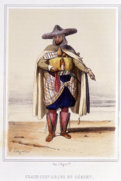 Great Arab chief of the desert during the second half of the 19th century by Unknown artist