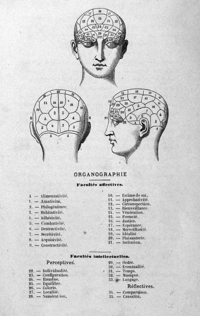 Illustration from Charles Rouvin