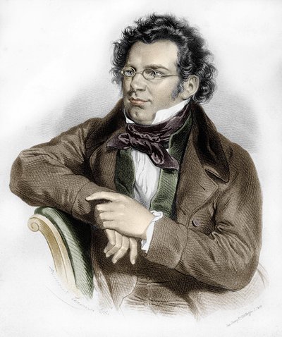 Portrait of Franz Schubert (1797-1828), Austrian Composer by Unknown artist