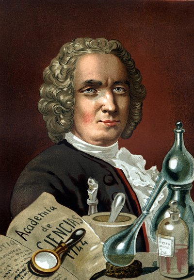 Portrait of Guillaume François Rouelle, French Chemist by Unknown artist